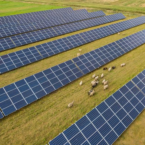 Un grand champ avec des rangées de panneaux solaires et des éoliennes à l'arrière-plan.