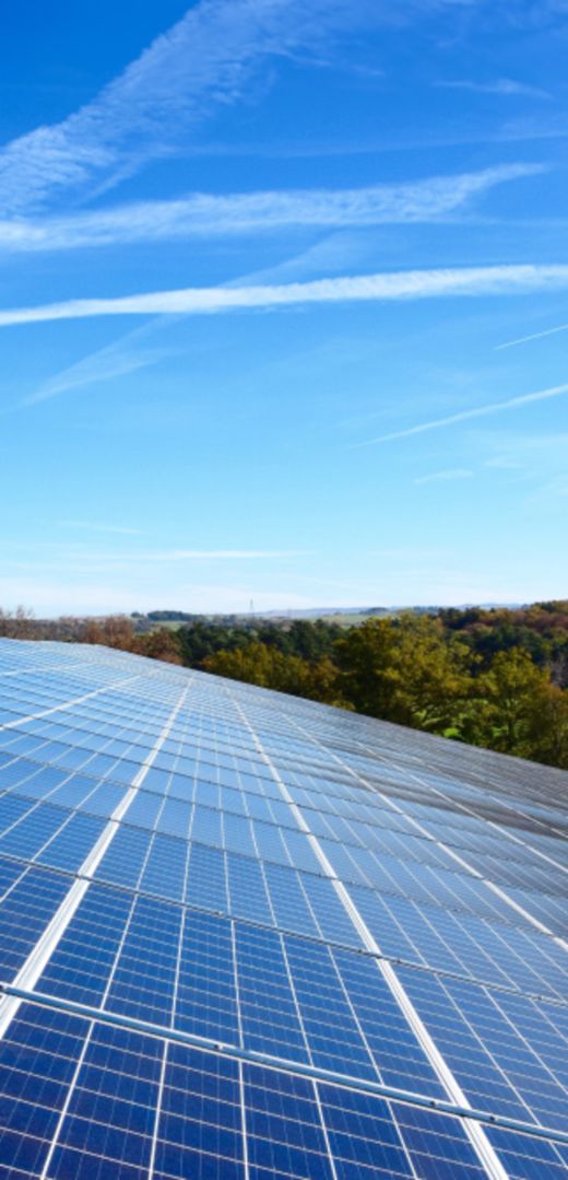 vue aérienne d'un champs solaire image du Groupe Le Triangle