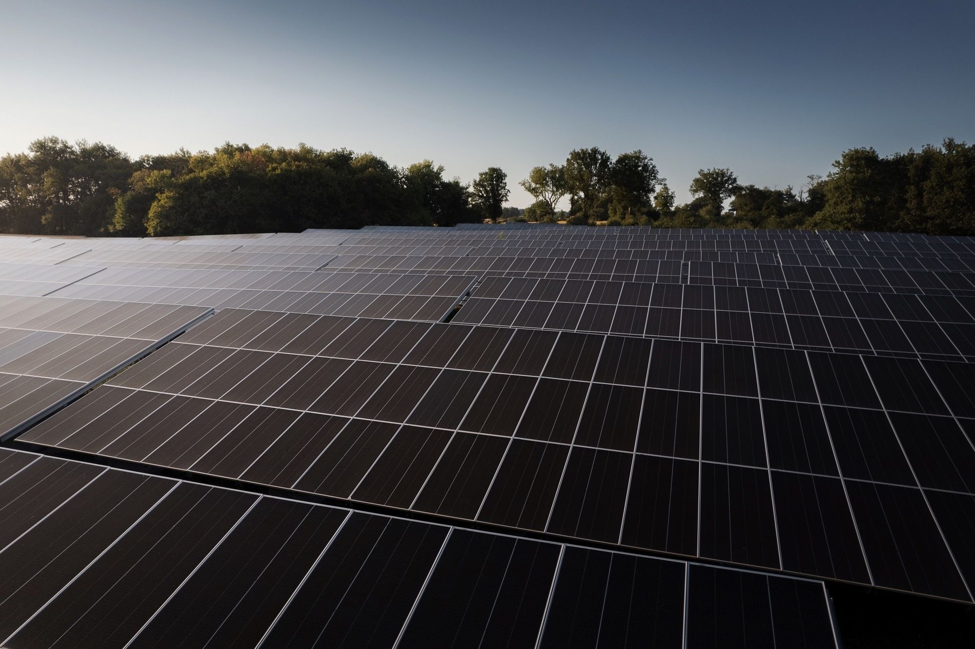 Réalisations solaires de Le Triangle, montrant des panneaux solaires alignés sur une structure métallique, illustrant l'efficacité énergétique dans un champ.