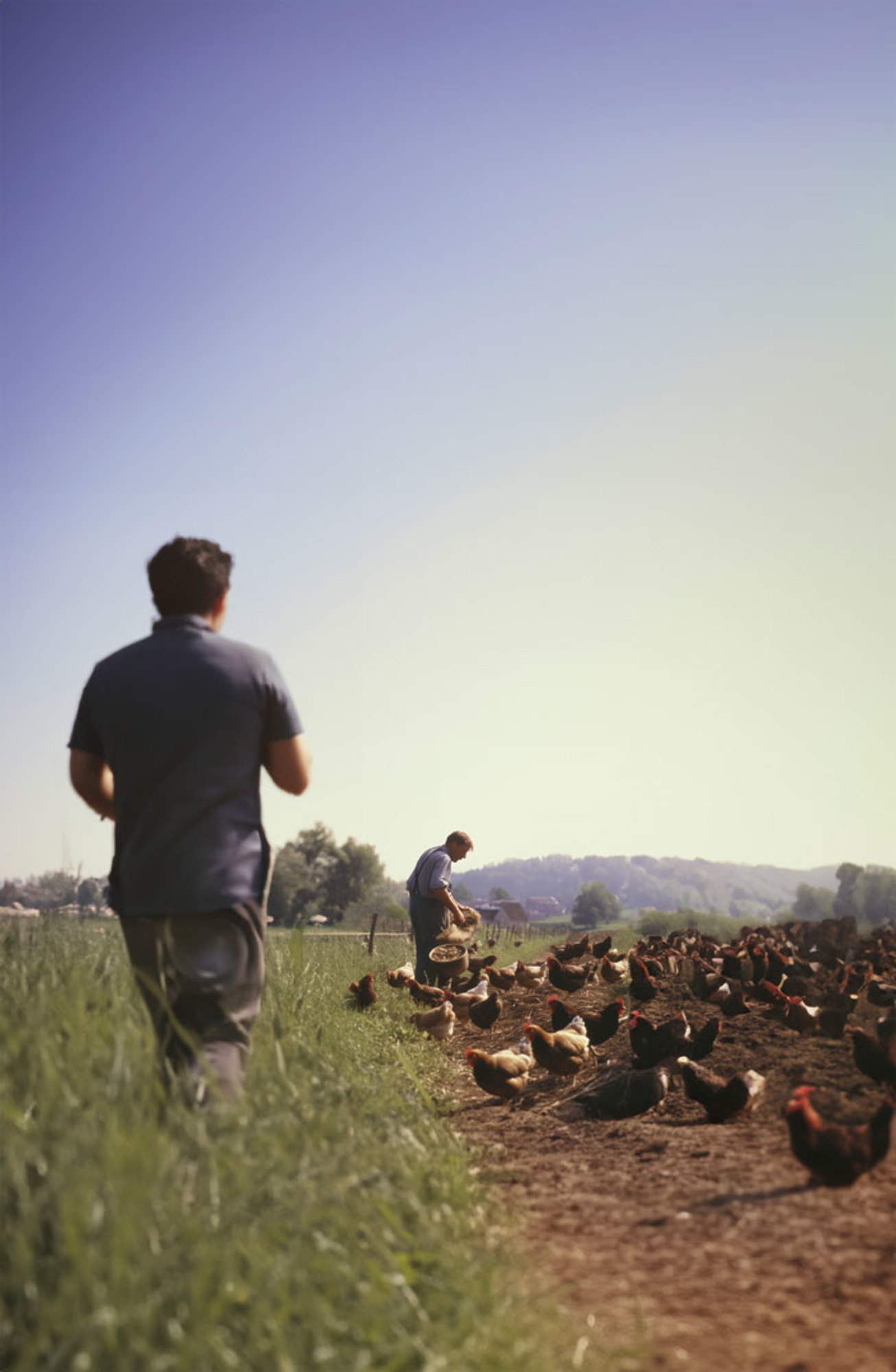 GILLES DESHAYES de dos dans un champs en 1988 image d'archive du Groupe Le Triangle
