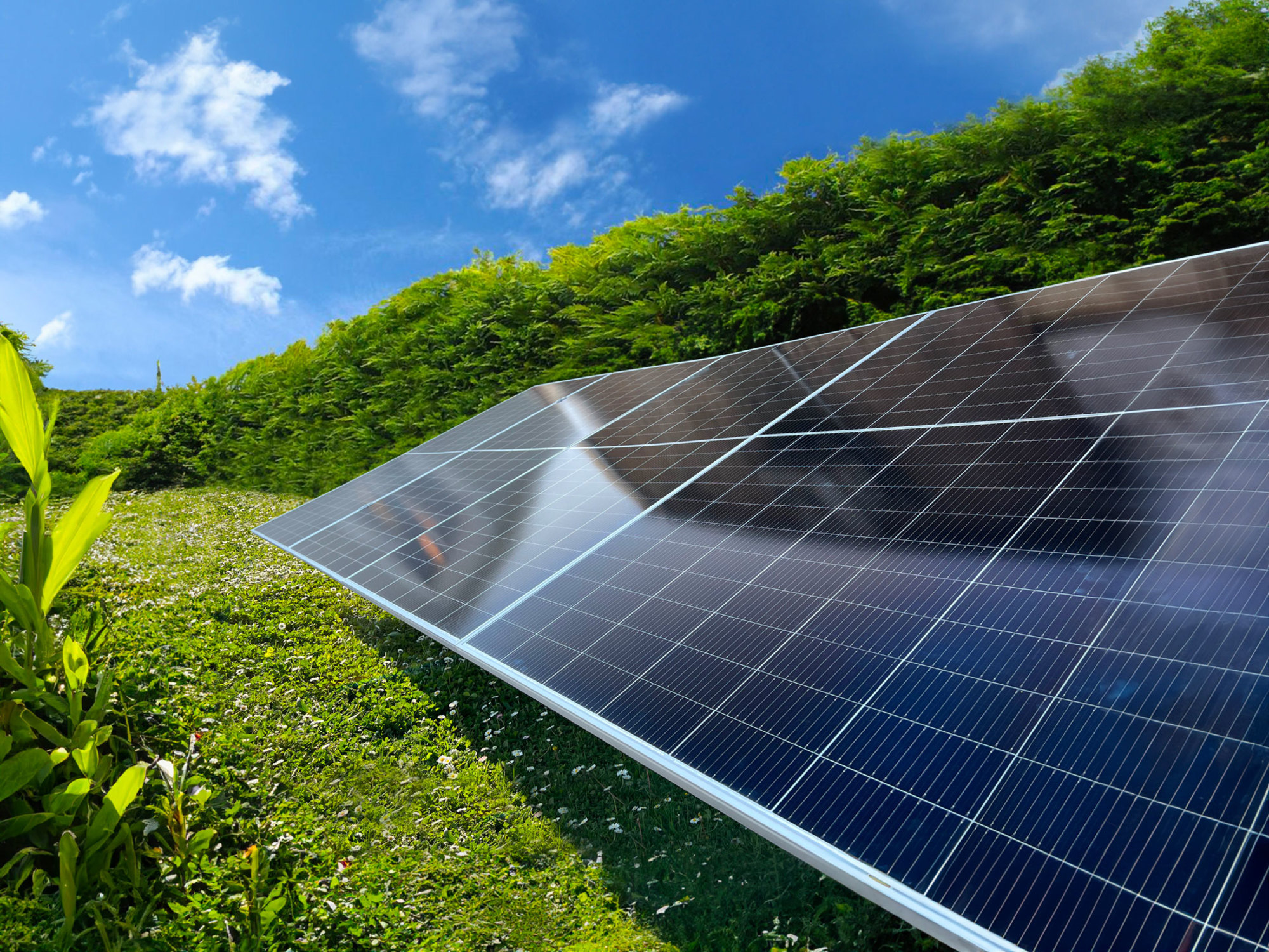 Exemple de solutions solaires par Le Triangle, champs solaires innovants pour une synergie locale et durable.