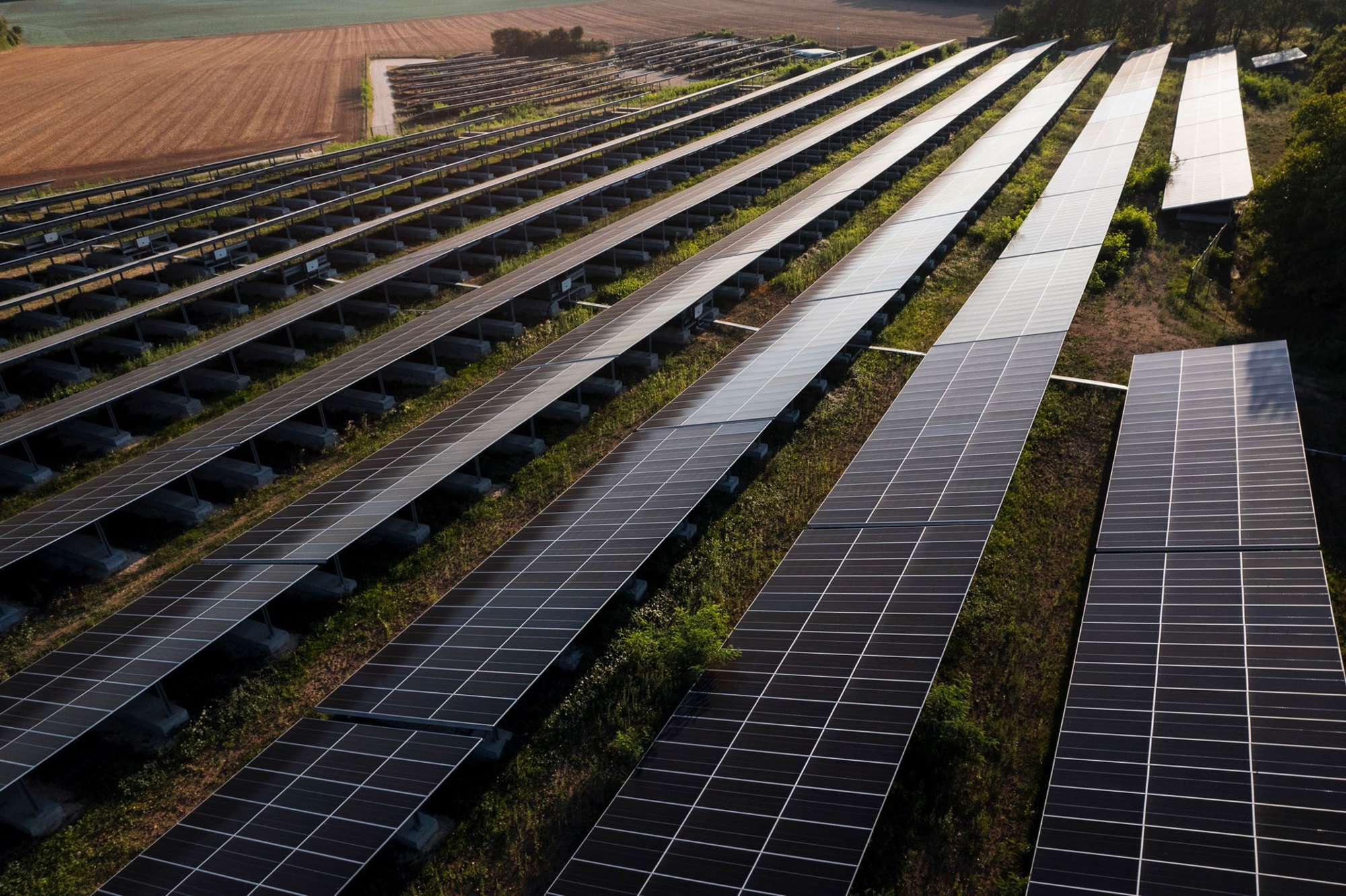Vaste champ solaire avec des rangées de panneaux photovoltaïques sur structures métalliques, réalisé par Le Triangle, intégré dans un paysage agricole.