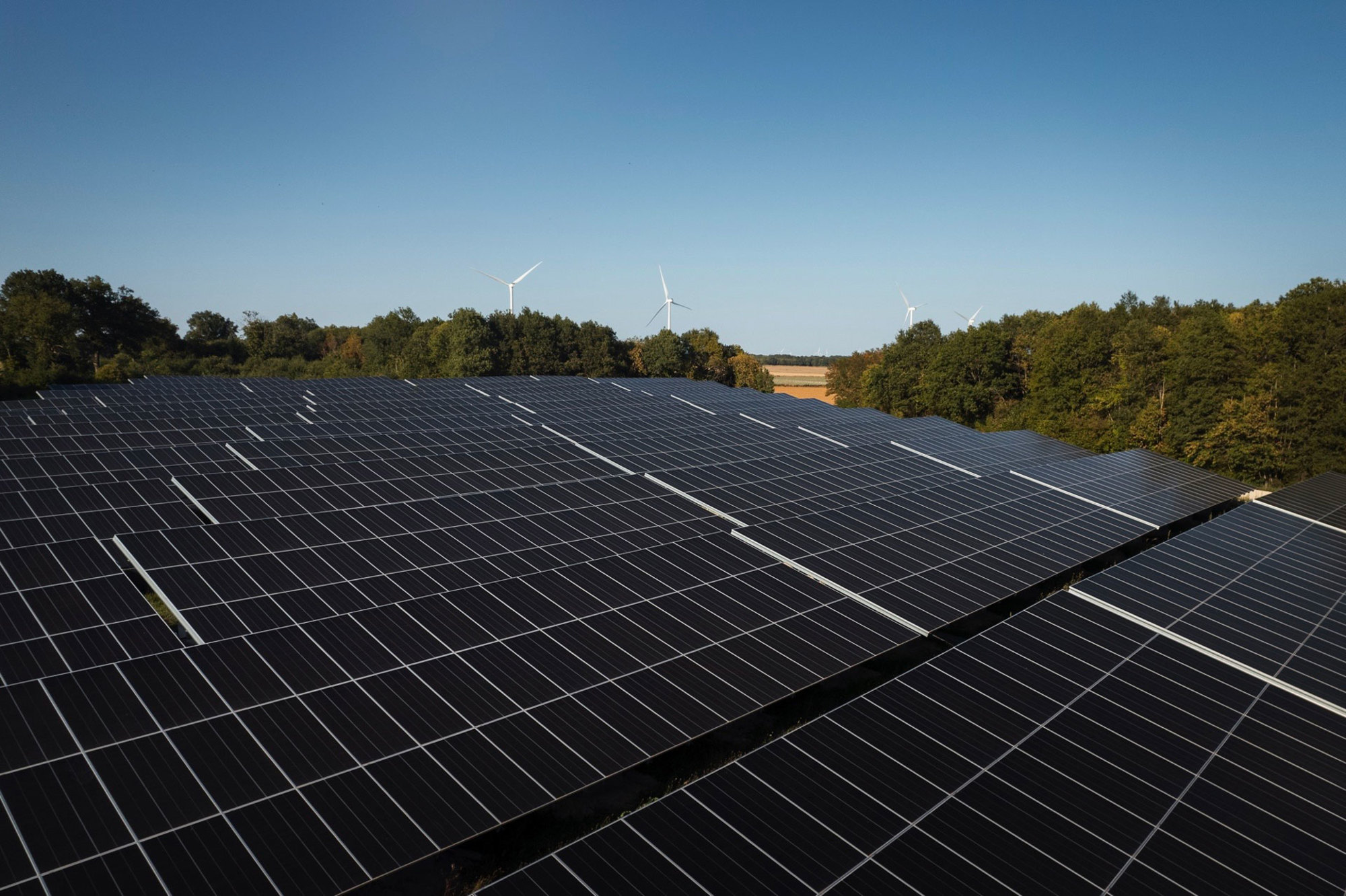 Un grand champ avec des rangées de panneaux solaires et des éoliennes à l'arrière-plan.
