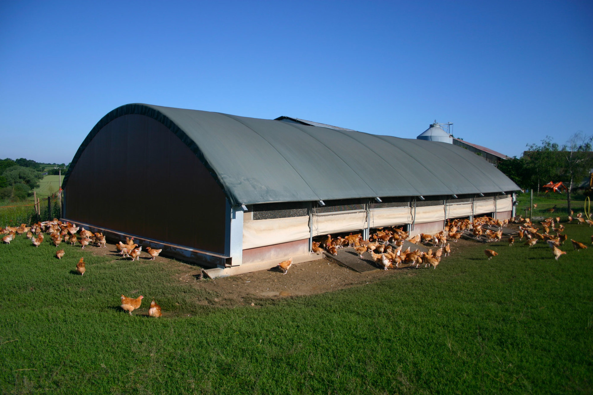 Bâtiment d'élevage avec abri solaire pour parcours volailles, intégrant des solutions solaires conçues par un éleveur pour des éleveurs.